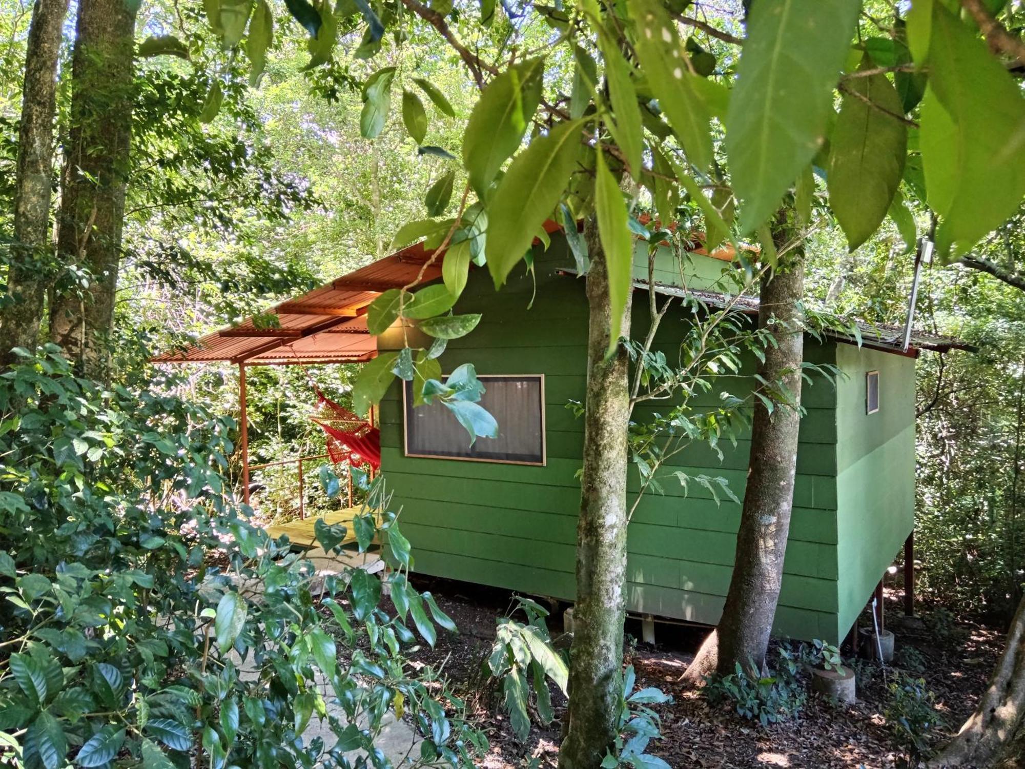 Jungle Living Tree Houses Monteverde Exterior foto